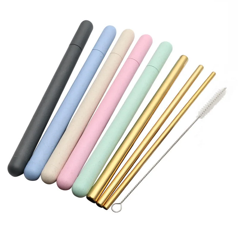 3-Piece Reusable Straw Set with Travel Case & Brush