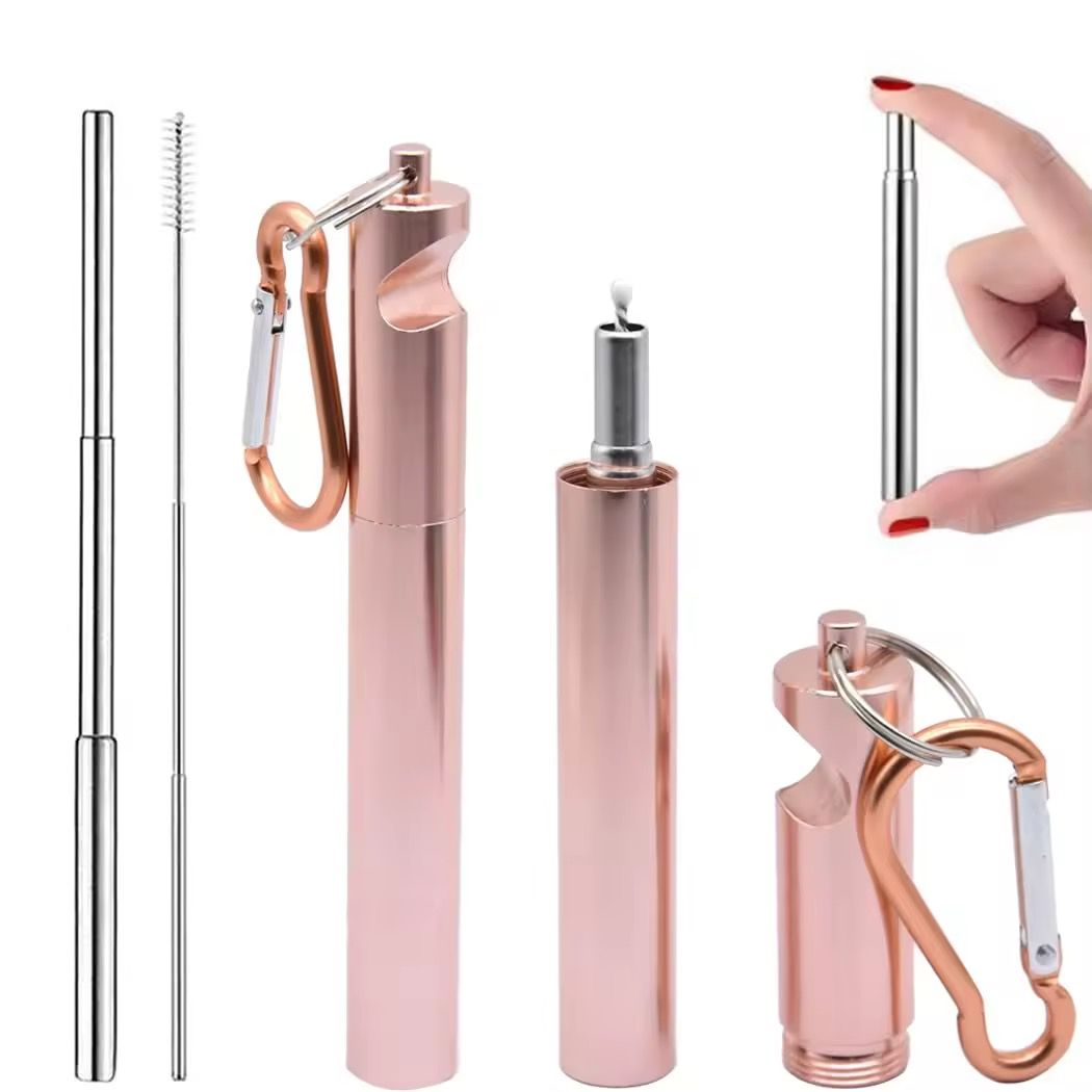 Telescopic Straw Set 2 — Stainless Steel Straws